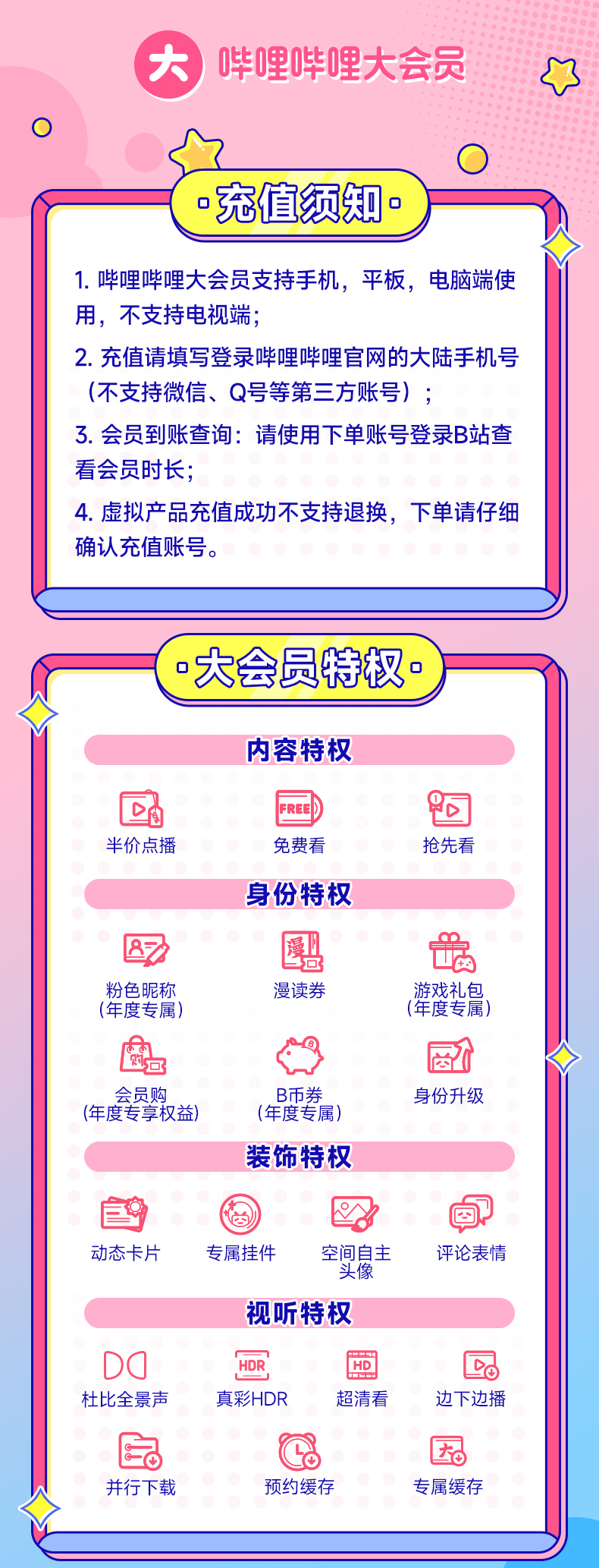 哔哩哔哩大会员