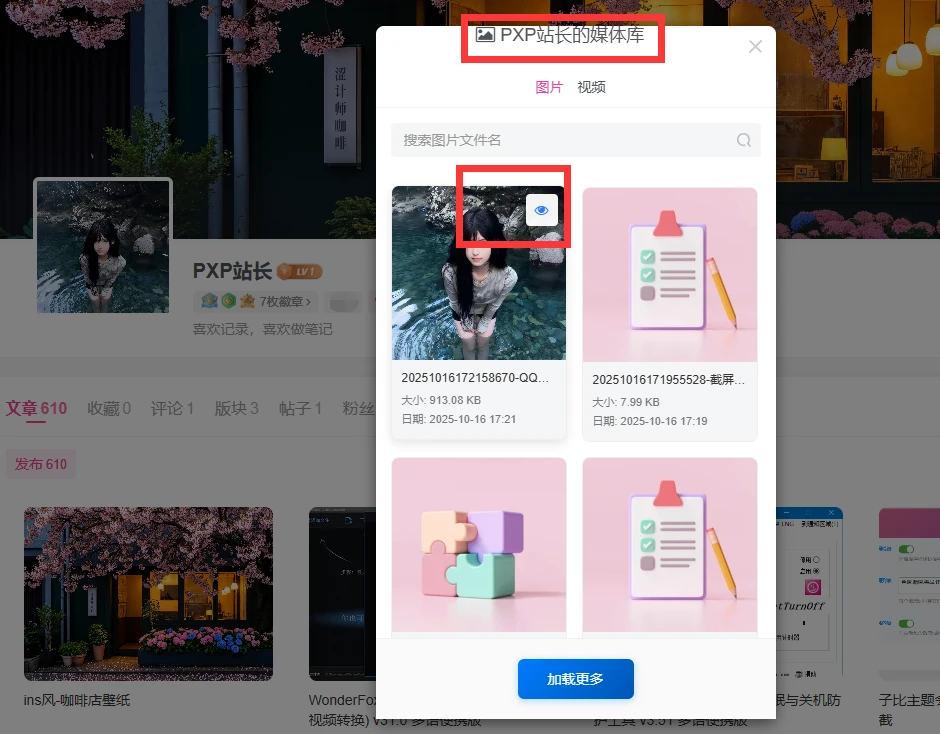 20251017162316253-image